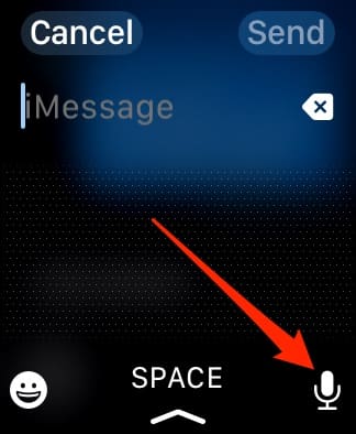 The Microphone Icon on the Apple Watch