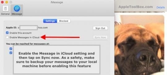 Enable Messages in iCloud feature on MacBook