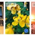 How to edit Live Photos on your iPhone