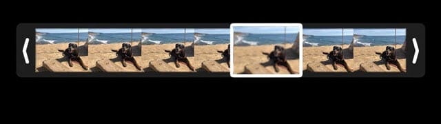 Live Photo featured frame in iPhone Photos app