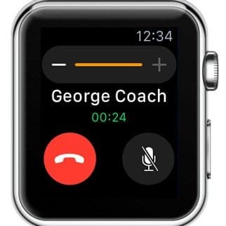 Apple Watch Phone Call