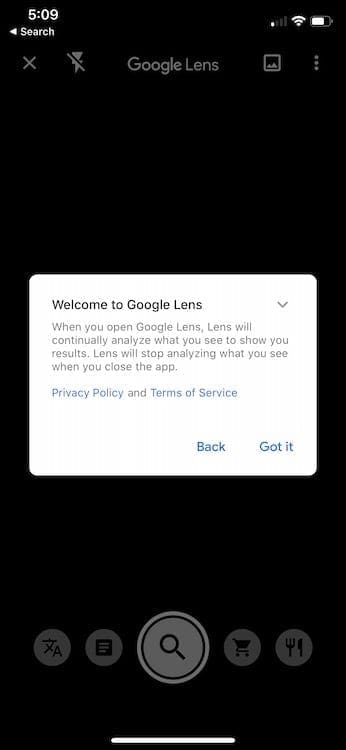 Google Lens on iPhone Welcome Screen