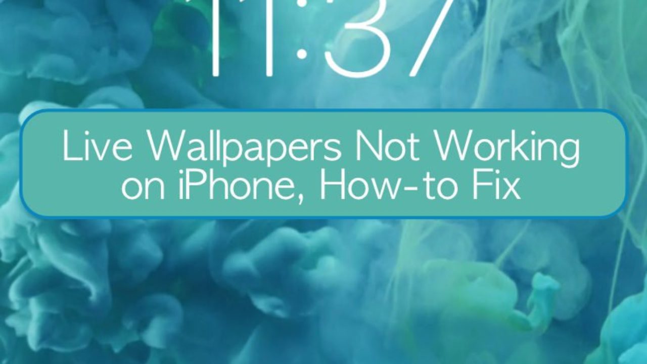 Live Wallpapers Not Working On Iphone Let S Fix It Appletoolbox