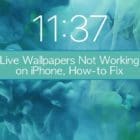Live Wallpapers Not Working on iPhone, How-to Fix