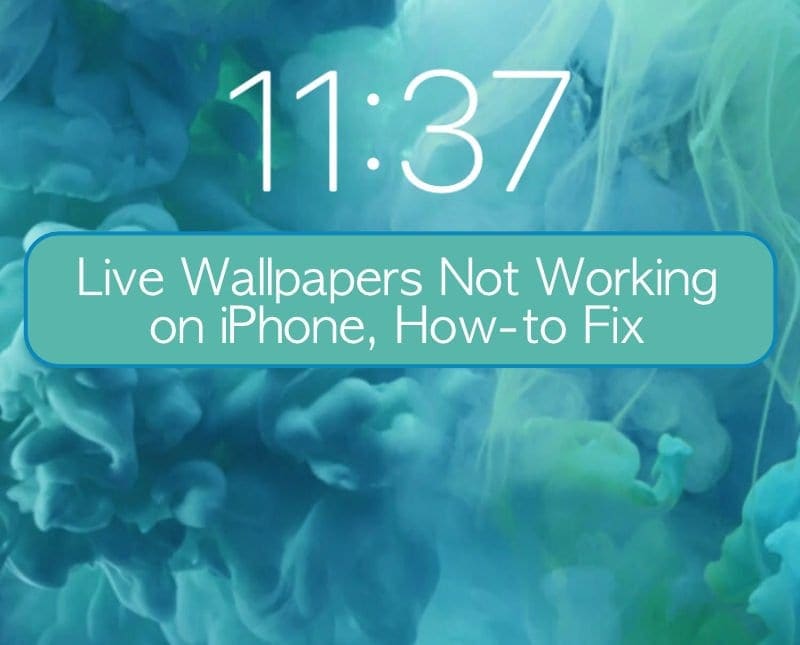 Live Wallpapers Not Working On Iphone Let S Fix It Appletoolbox