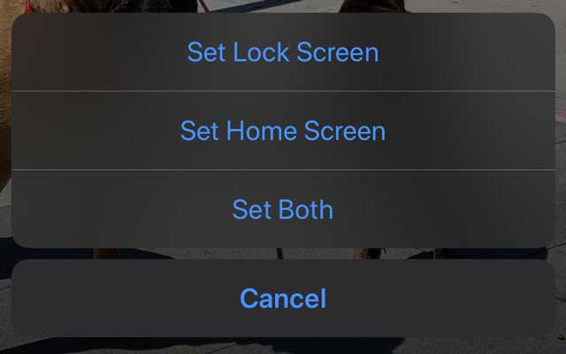 live wallpaper location options for lock screen or home screen