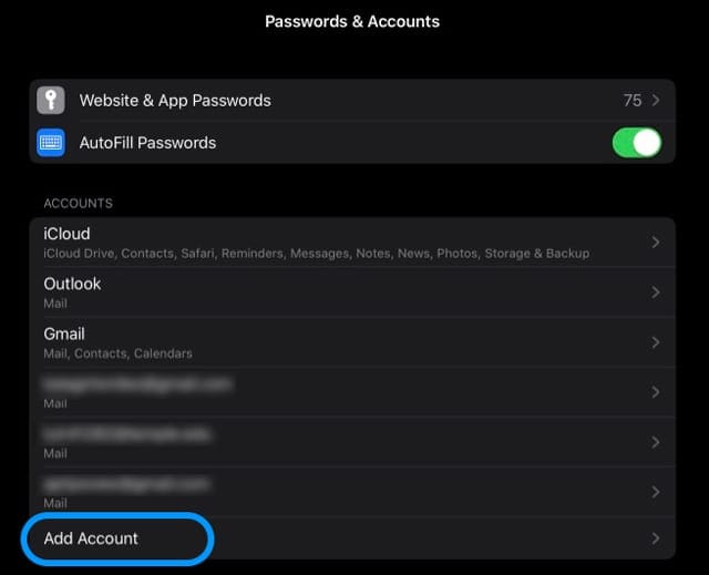 add an email account in Passwords & Accounts settings iPad dark mode
