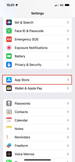 Option to select the App Store icon in the iOS Settings app