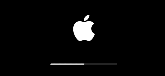 Image of the Apple logo and a loading bar from the booting screen