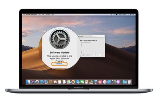 macOS System Preferences Software Update Details to unenroll from Beta program