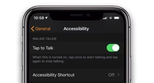 tap to talk on apple watch watchOS 5 walkie talkie