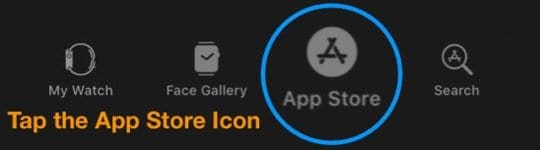 App Store Icon in iPhone Watch App