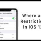 Where are Restrictions in iOS 12? We Found It and More!