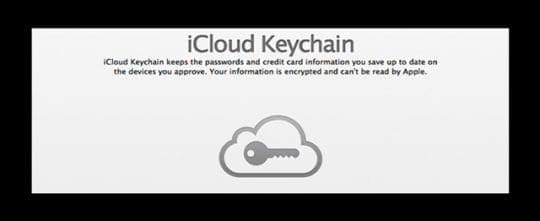 iCloud Keychain Stores Passwords
