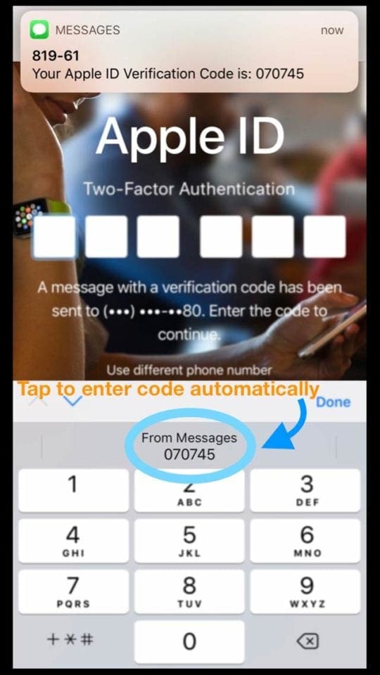 Security Code Autofill iOS 12