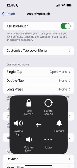 Choose the Volume Buttons on your iPhone