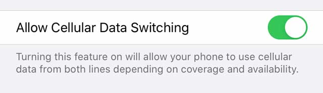 iPhone setting for eSIM or Dual SIM Allow cellular data switching
