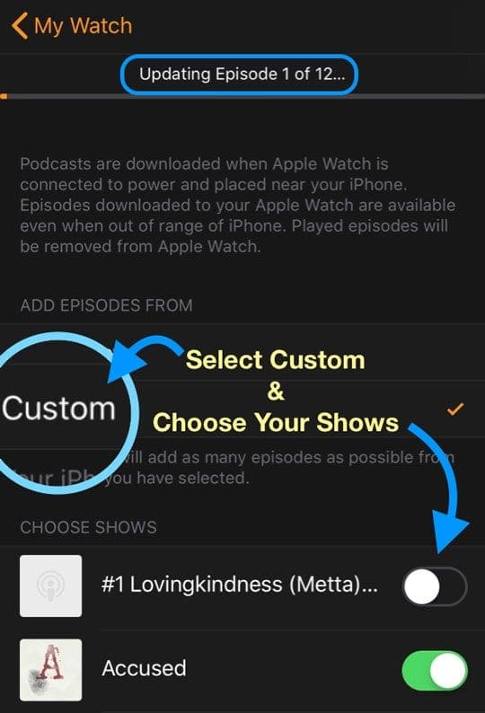 Custom option in podcast app for apple watch show selection