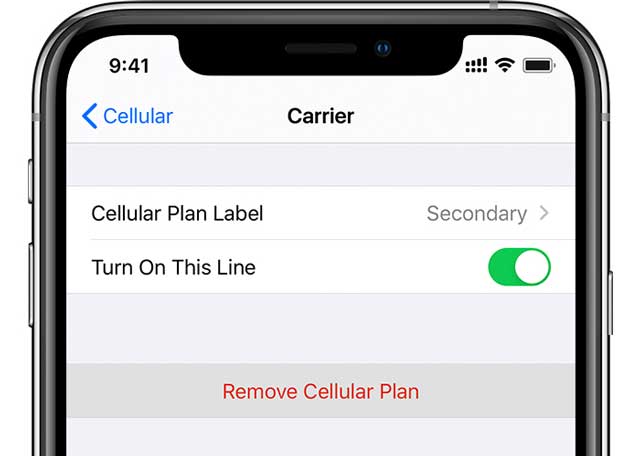 remove eSIM plan from iPhone