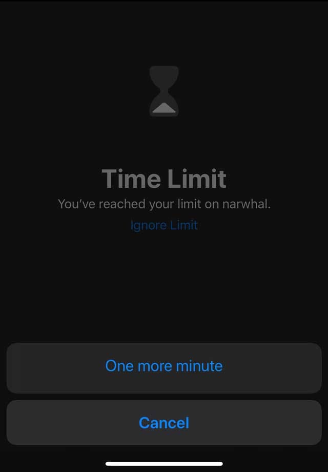 one more minute feature in Screen Time for iOS 13 and iPadOS