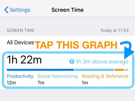 screen time usage graph on iOS iPhone