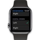 reverse the digital crown position on Apple Watch
