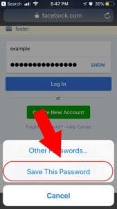 Safari Save Password to iOS
