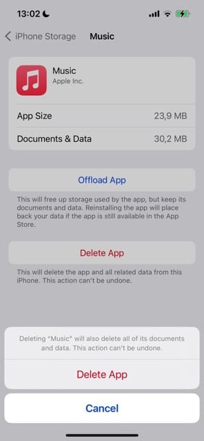 Confirm app deletion in iPhone Storage