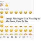 Emojis Not Showing Up on MacBook, How-To Fix