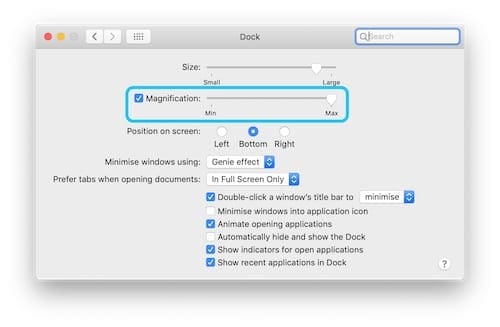 Screenshot of the System Preferences window highlighting the Magnification option