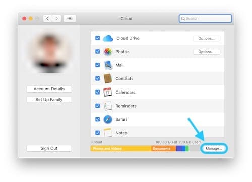 Screenshot of the iCloud System Preferences page highlighting the Manage... button