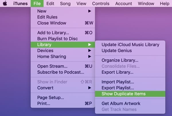 Show Duplicate Items iTunes