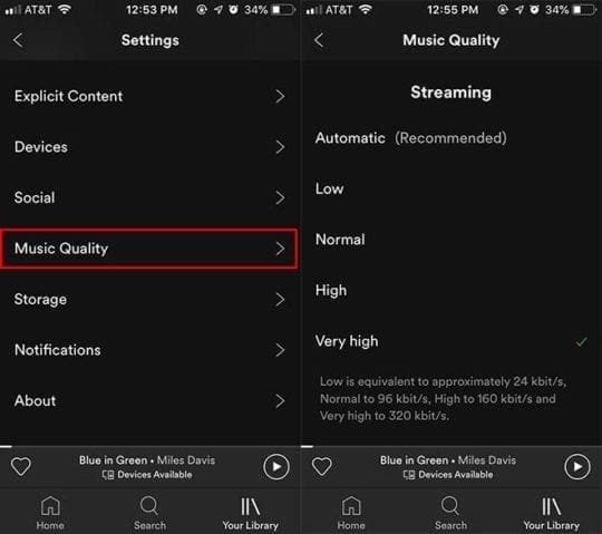 Spotify iOS - Music Quality
