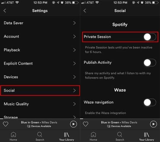 Spotify iOS - Private Session