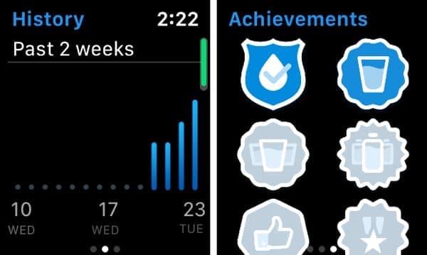 WaterMinder on Apple Watch History and Achievements