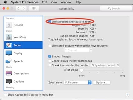 Check box next to use keyboard shortcuts in zoom in accessibility in system preferences.