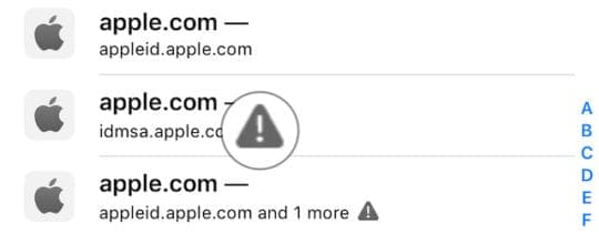 Duplicate password warning in iOS