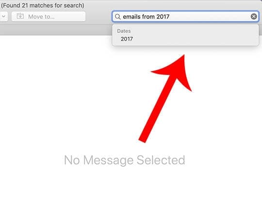 Mail Tips - Search Bar