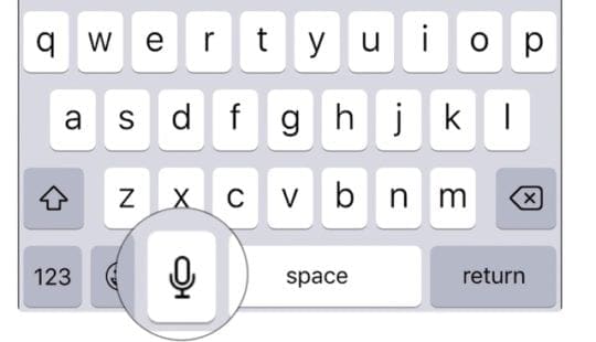 Dictation button in iOS keyboard