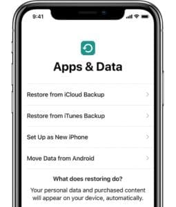 iPhone Apps & Data options in iPhone setup