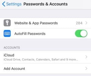 Website & App Passwords in iOS