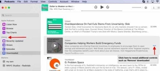 Podcasts app in macOS Catalina downloads