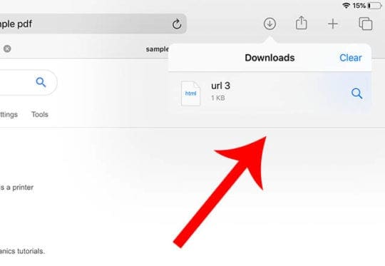 Safari iPadOS - Downloads