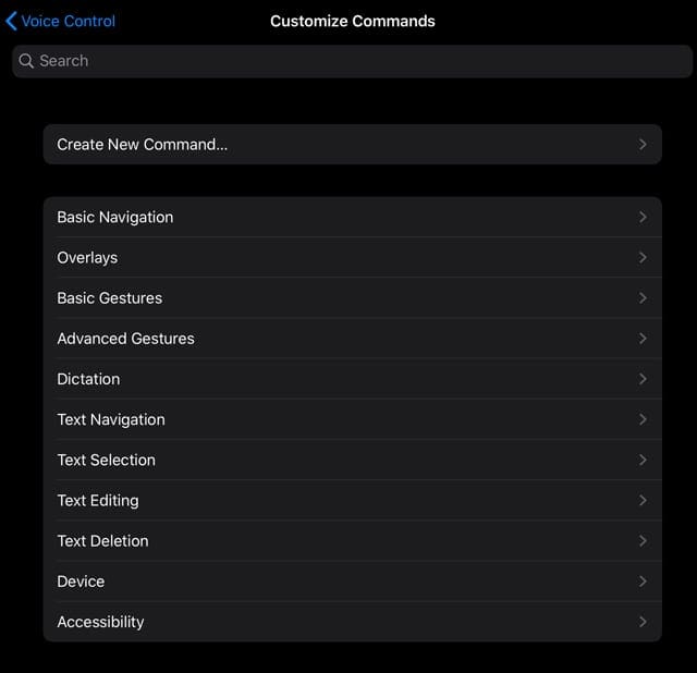 create your own command in iOS 13 and iPadOS voice control accessibility setting