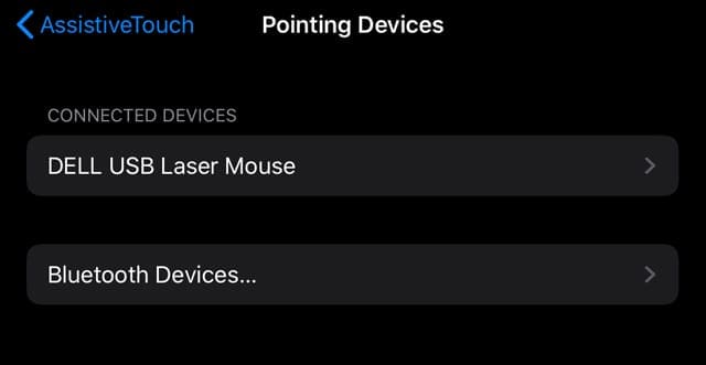 iOS 13 and iPadOS Pointing Devices connected to a hard wired USB Mouse