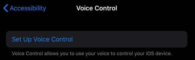 how to set-up voice control in iOS 13 and iPad OS