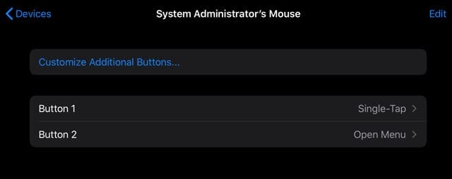 choose a mouse button to customize on ipadOS