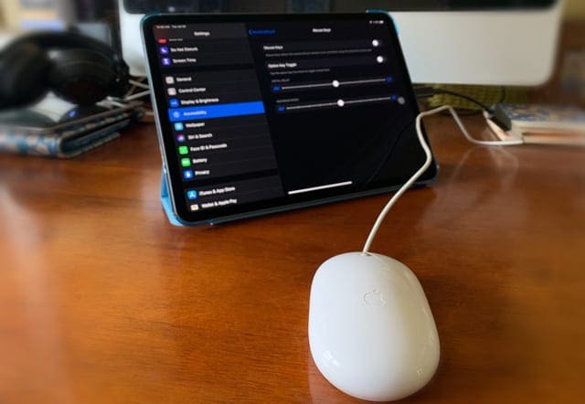 use a mouse with ipad