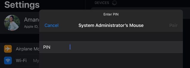 enter pin code for mouse support on iPadOS