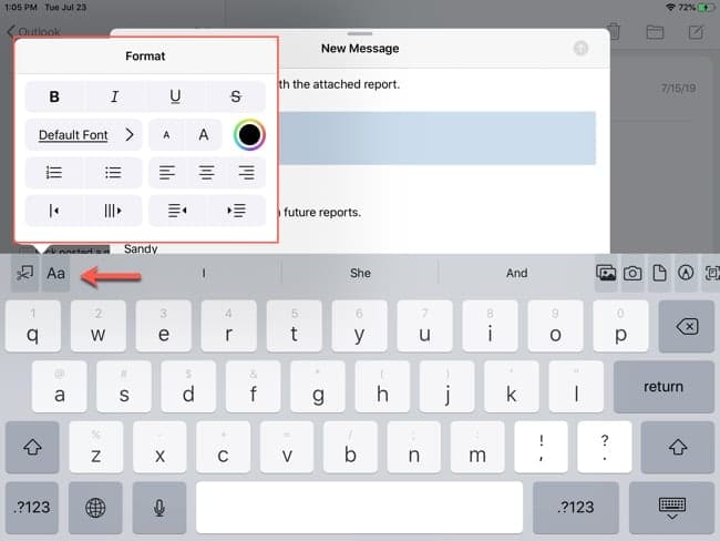Text formatting menu in Mail iPadOS